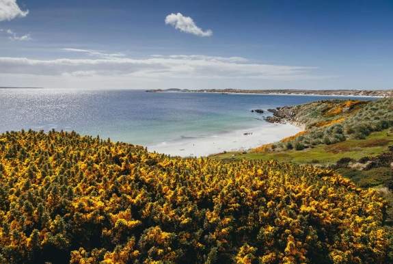 Photo: David Merron Falkland Islands (Islas Malvinas)