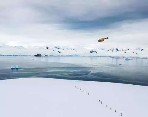 Alpine Heli-Trekking