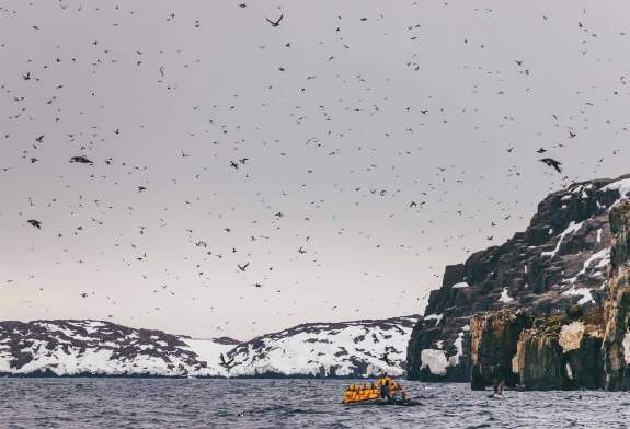 Zodiac boat with bird cliff in background