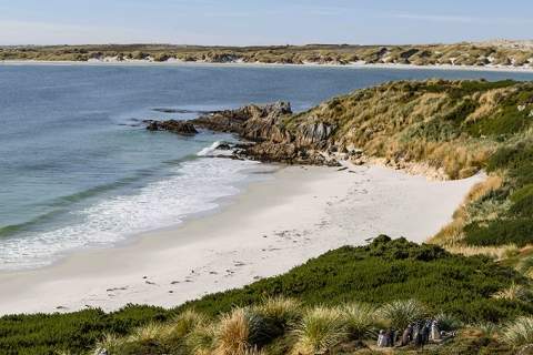 Falkland Island Coast
