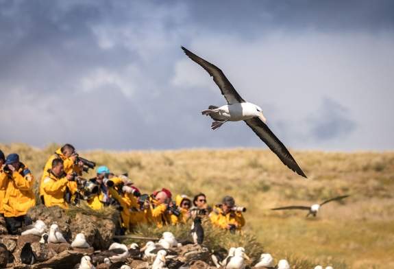 Photo By: Acacia Johnson Passengers taking photographs of Albatross